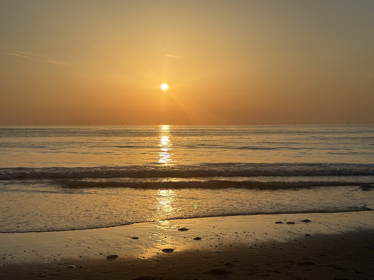 TSKoers's tweet photo. @Havenlust https://t.co/Eg5AR6pIfx