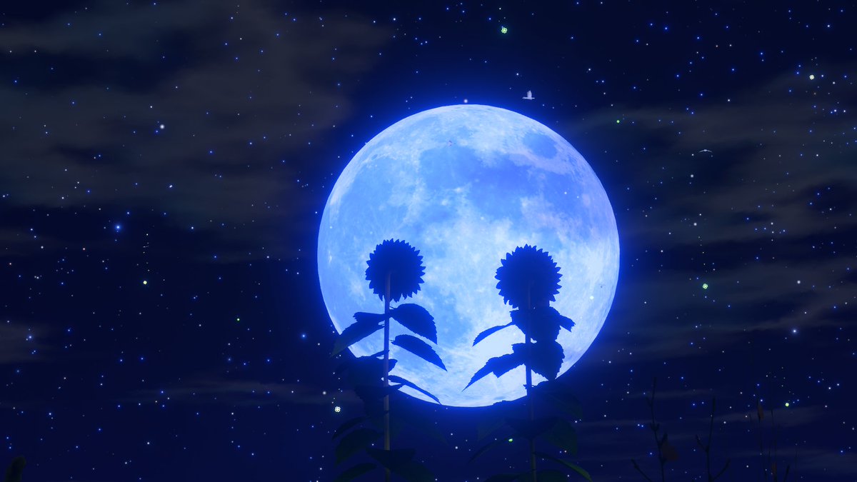 MeilongVRC's tweet photo. 🍀Distance connects doors - Night🍀
満天の星空と月明かりが海に映る静かな夜の島を公開しました。大切な人と今日の思い出を語り合ったり、一人で静かに余韻に浸ったり…「今日もありがとう、おやすみなさい」と思える場所になれたら嬉しいです。
#VRChatワールド紹介 #VRChat_world #VRChat https://t.co/WDNSHLKQhP