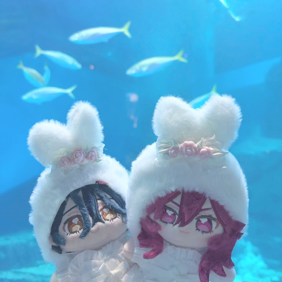 __sug62's tweet photo. Aquarium🪼🫧

#いつぬいが見れるタグ
#いつぬいが見られるタグ https://t.co/BH2OomZdyP