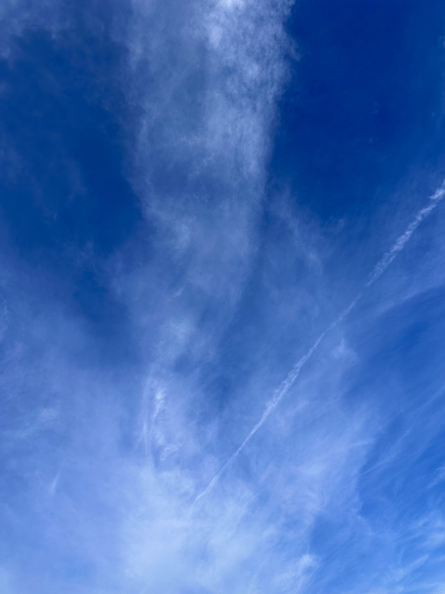 Korosuke74's tweet photo. 青モグだぁ!!
 #空  #雲  #青モグ https://t.co/TK0Nu8gkhG