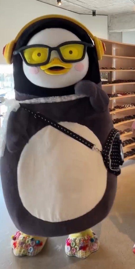 GiantPengsoo's tweet photo. 미친ㅋㅋ얘 젤리슈즈 신었어 https://t.co/ylJ8BbkcVC
