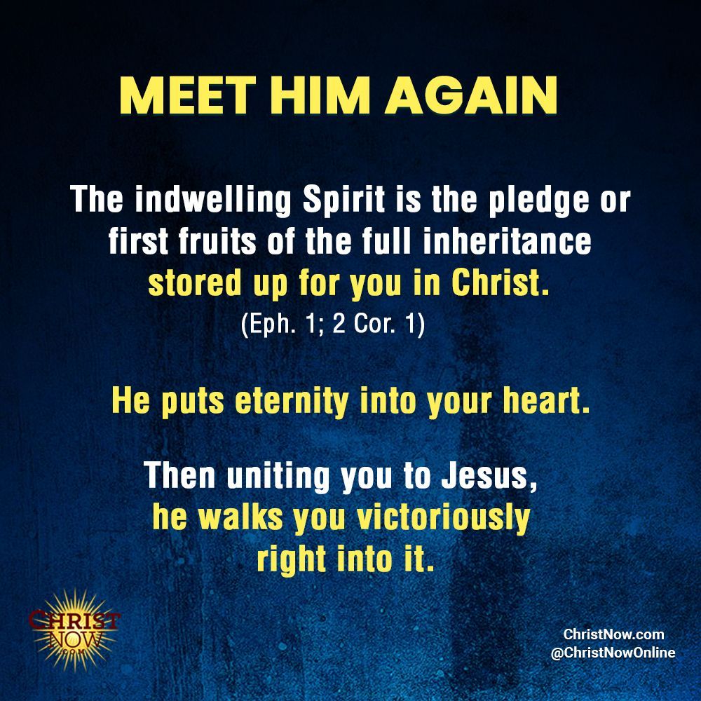 ChristNowOnline's tweet photo. #MEETHIMAGAIN
#jesus #christ #christianity #faith #bibleverses #jesusisking #godislove #christnow #christawakeningmovement #spirituallife #gloryofjesus https://t.co/DlEhACBRwy