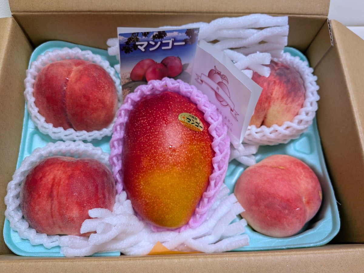 yuramama0908's tweet photo. Xは3週間ぶりの更新だった…😂

ゆちゃちゃのお誕生日(6/18)に高級フルーツのカタログ！沖縄のマンゴーと山梨の桃のセットが届きました😍桃はジュースみたいに甘かった🍑マンゴーは明日食べます🥭

カロリーイベ1位応援ありがとうございました❤️フルーツは高くて最近あまり買わないから嬉しい🤭 https://t.co/2MOfdkJdRS