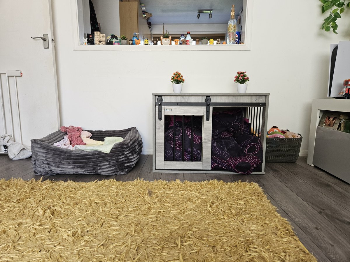 KwikFamily's tweet photo. Our gorgeous girl is having her op right now so to keep busy we made her a special recovery corner in the lounge 🩷 please keep everything crossed @kickcommunity that it all goes smoothly then @0Coximus_Prime and myself can bring our princess home https://t.co/jXpf0oLNZh