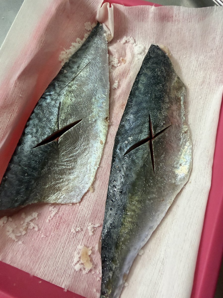 kabupants's tweet photo. カンネコの鯖はうまい。
ただの塩焼きうめえ。

たらこクリームはカニカマも入れてB級レベルアップ

#鯖
#たらこパスタ https://t.co/YOr8GeriJV