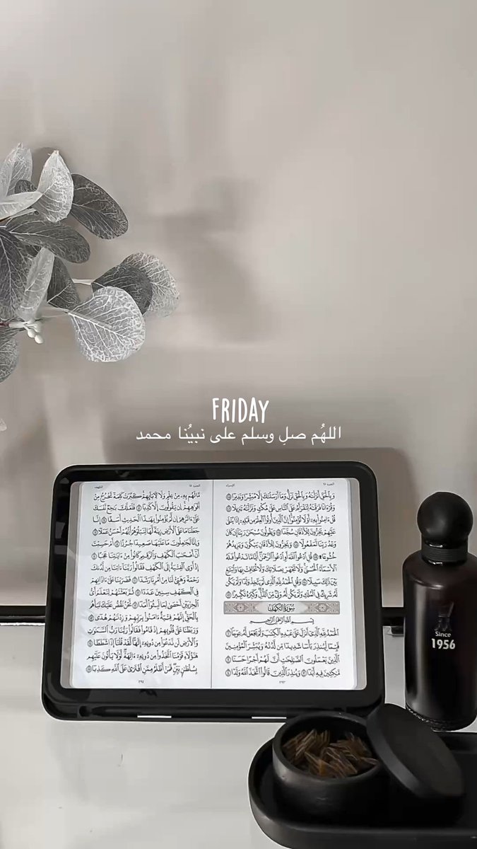 المُحامية عبـيـر. tweet media