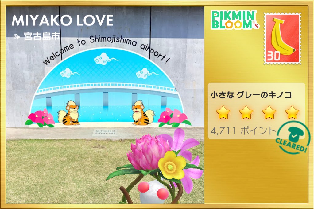 pralineSpumone's tweet photo. 月跨ぎしててピクブルやらないと
バッテリ🔋長持ち❣️

🐈‍⬛🐈🐟🫶🏻💕    🛩️🐅🌸💕
📣ありがとうございました😊 

#PikminBloom #ピクミンブルーム https://t.co/NBs6hZ6avm