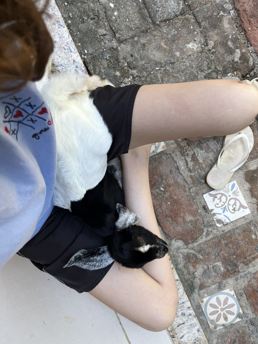 allstarstewart's tweet photo. no meu dia menos mãe de cabrito https://t.co/RpZbRlZNnM