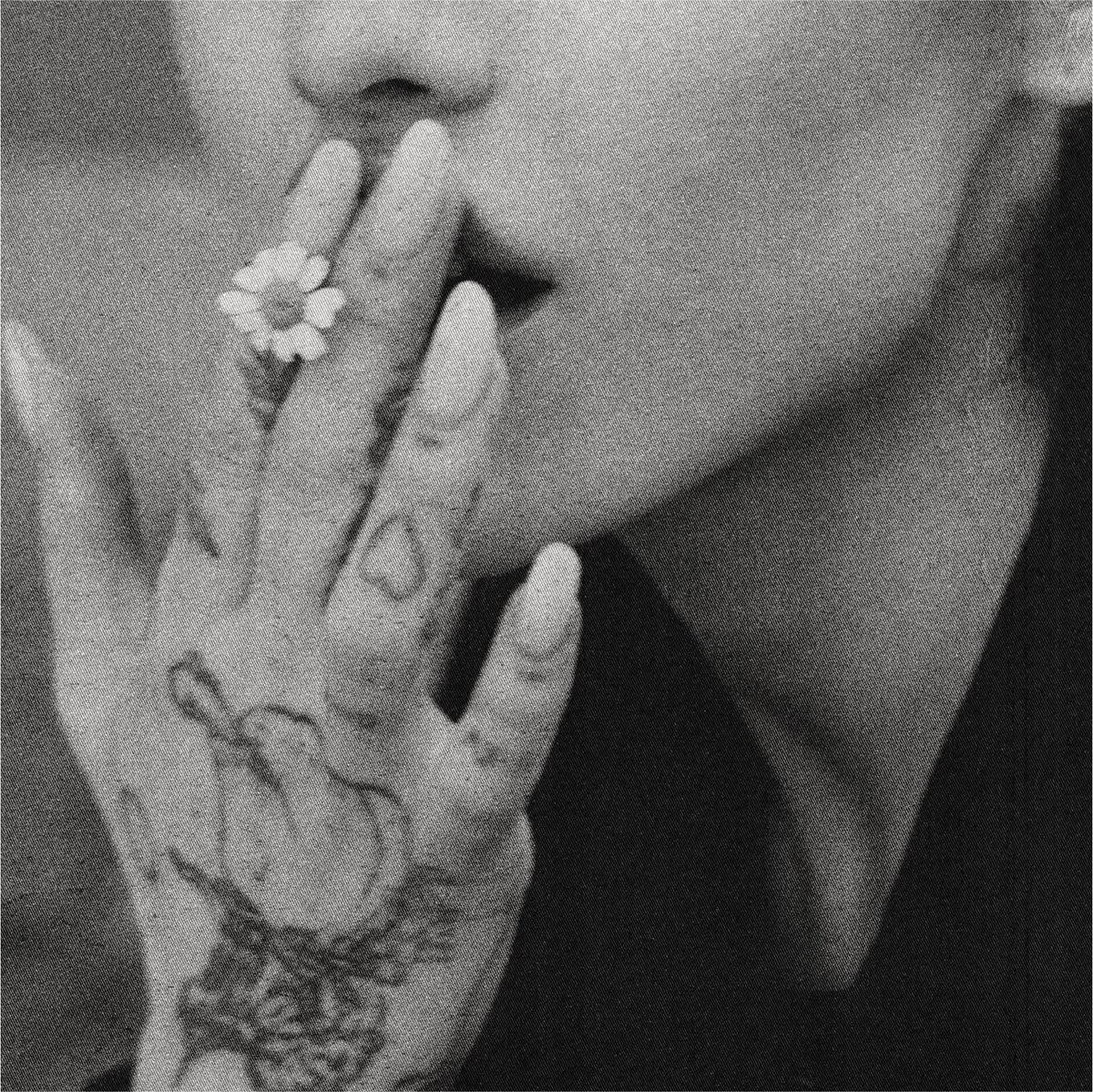 infoari's tweet photo. 🚨O “petal” de Ariana Grande alcançou o #1 no iTunes e Apple Music dos EUA! https://t.co/JN4Xcez3ko