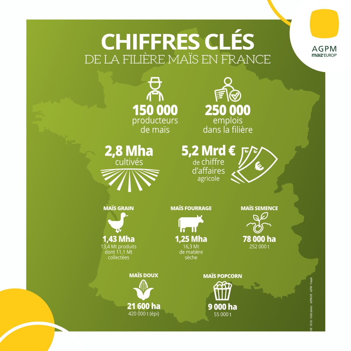 AGPM_mais's tweet photo. La filière maïs en chiffres : une excellence française à préserver ! 🇫🇷🌽

Derrière nos champs de maïs se cache un véritable moteur économique. 🚜

Avec une moyenne de 13,4 millions de tonnes produites sur la période 2021-2025, l'Hexagone occupe la première place des producteurs européens. Championne à l'international, la France est à la fois le premier exportateur mondial de semences de maïs 🌍.

Derrière ce palmarès, c'est l'engagement de 150 000 maïsiculteurs en amont d’une filière de 250 000 emplois. De l'alimentation humaine au fourrage pour l'élevage, sans oublier la production de semences, le maïs façonne nos territoires avec 2,8 millions d'hectares cultivés et génère 5,2 milliards d’euros de chiffre d’affaires.

⚠️Mais malgré ces performances, la filière fait face à des défis majeurs. En 25 ans, la France a déjà perdu plus de 500 000 hectares de surfaces de maïs.

Pour conserver sa position stratégique et préserver sa souveraineté alimentaire, notre agriculture doit maintenir sa compétitivité face à une concurrence internationale et européenne accrue (États-Unis, pays du Mercosur…) 📈.

Soutenir nos maïsiculteurs, c’est préserver une filière essentielle de l'économie agricole, des emplois locaux et surtout notre indépendance alimentaire ! 🌾

#Agriculture #FilièreMaïs #SouverainetéAlimentaire #Emploi