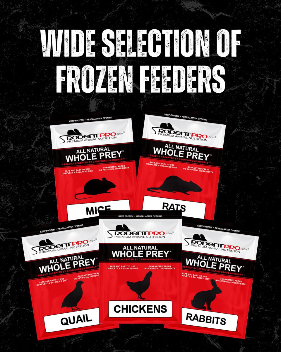 RodentPro's tweet photo. Feeding routines are easier when you know exactly what you’re getting every time. 🐍

RodentPro has become a trusted source for reptile keepers, breeders, raptor owners, and exotic animal facilities across the country.

Explore the full lineup here: https://t.co/CwrQcQGgI7 https://t.co/V5zxZTbPQb