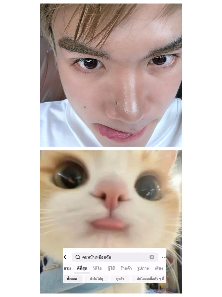 betterbeboo's tweet photo. น้องฟ้ดฟ้ด ตอนค้นหาคนหน้าเหมือนฉัน https://t.co/AV8twufBgB
