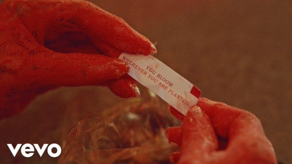 AGrandeSP's tweet photo. "Floreces dondequiera que seas plantada".

— Ariana Grande para el videoclip de “petal”. https://t.co/11Fpa6HhXQ