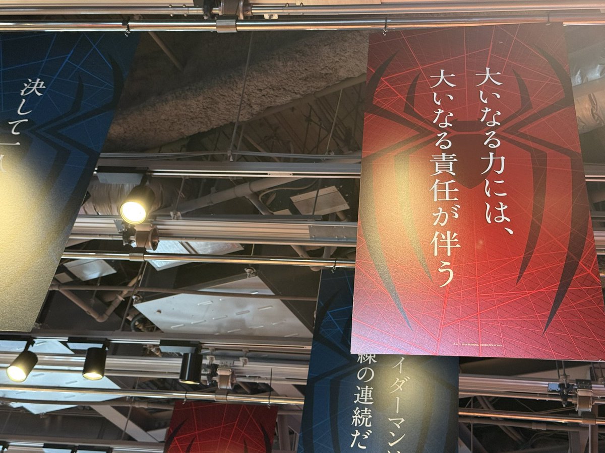 pachi_nui's tweet photo. 🕷🕸❤️💙 https://t.co/Wp1Sh4ViPA