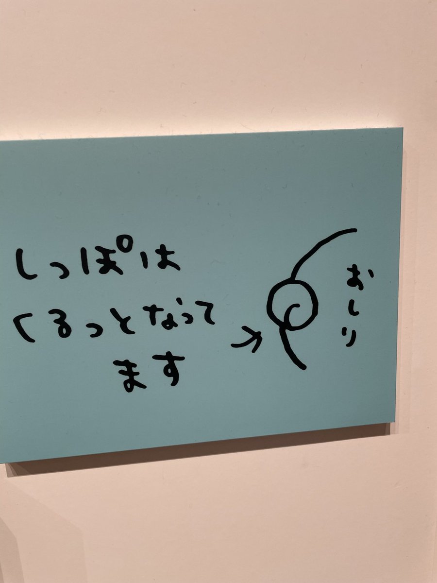 lunnamari's tweet photo. ナガノ展の振り返りたくさんツイートしちゃった…！私が行ったのは最初？の2022年です。島編前だ！
ちいかわは勿論、もぐコロとくまさんが沢山居て嬉しかったんだぁ〜 https://t.co/U9IimBi36N
