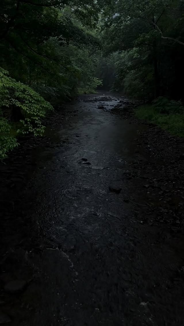 bransongagubak's tweet photo. 🌲🚶 https://t.co/VErWucmWfQ