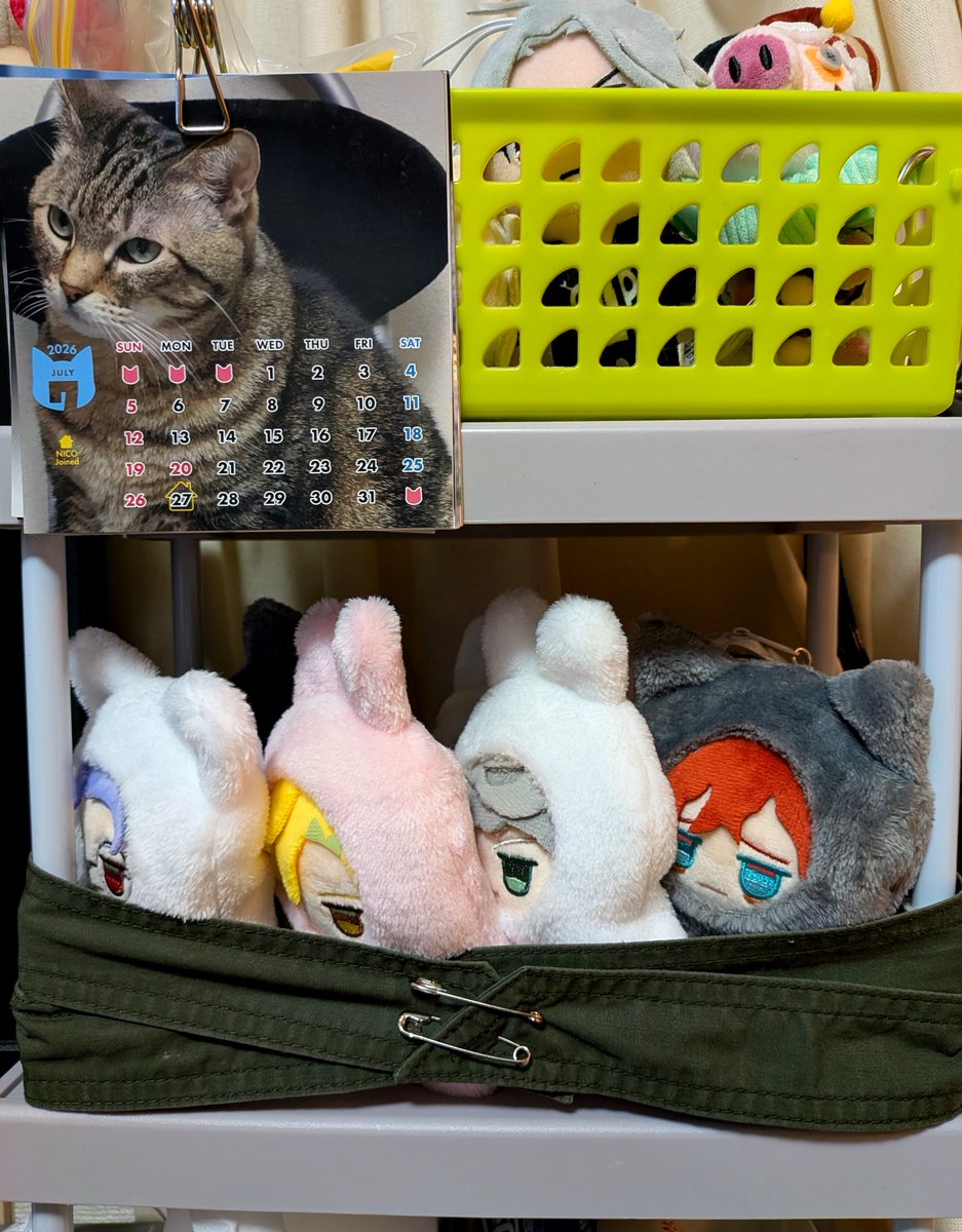 ミヨコ345 tweet media