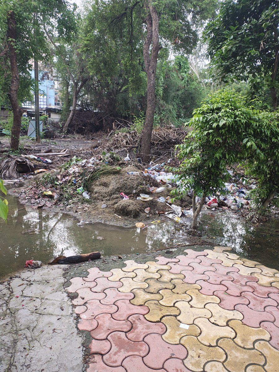 Anupama5887's tweet photo. @noida_authority @CeoNoida @dmgbnagar @PankajSinghBJP ye Priyadarshini park sector 12 ka condition hai , yha park me kuda pada hua hai, jisase bhut smell aarhi hai, park me and vale logo ko problem ho rhi hai, pls do needful.a https://t.co/vdOQfOPcxa