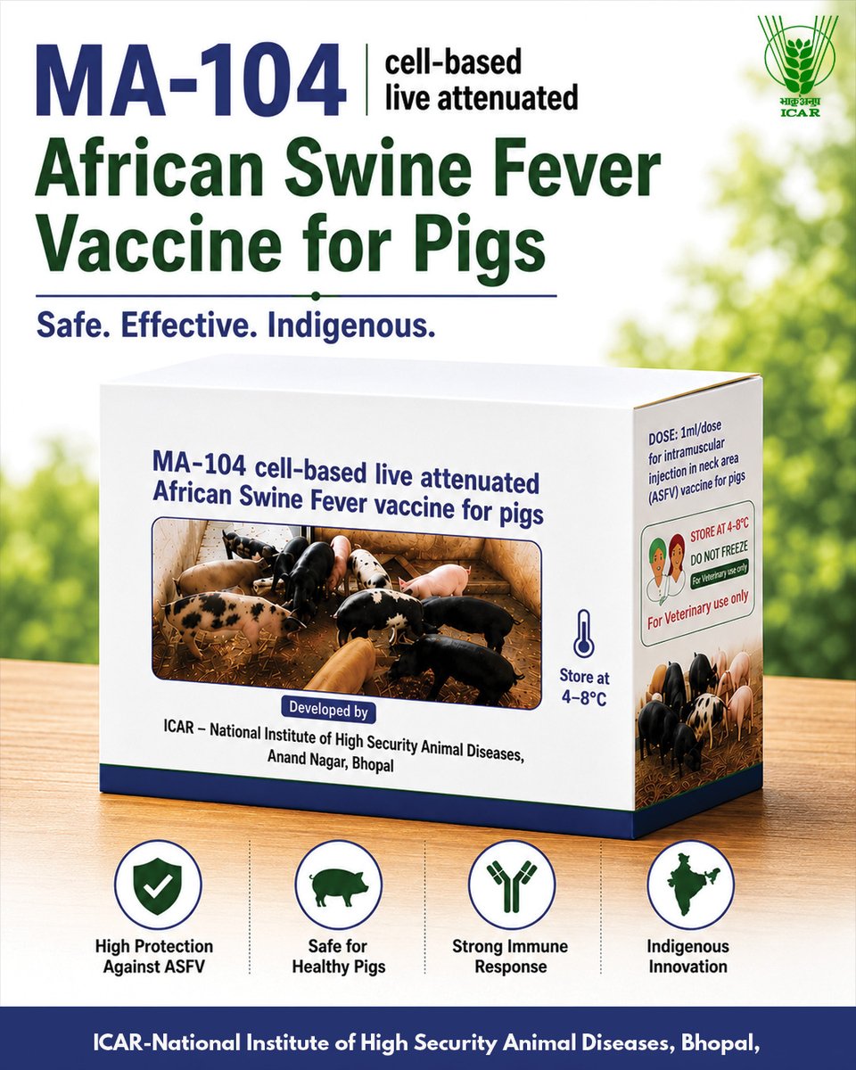 icarindia's tweet photo. A major leap in animal health! 

#ICAR-NIHSAD develops an indigenous MA-104 cell-based live attenuated vaccine against African Swine Fever—protecting pigs and securing livelihood.

@ChouhanShivraj @PIB_India @AgriGoI @Dept_of_AHD https://t.co/oX8hWoePsP
