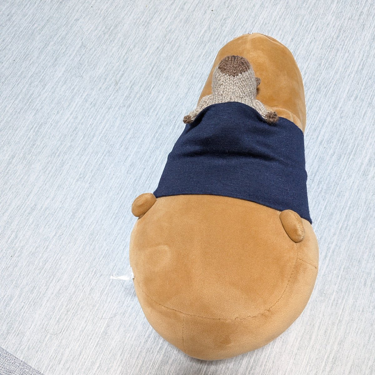 mpiyok's tweet photo. 張り切って色々持っていきましたが、ミニカピバラの手足耳を完成させただけでした😅
美しい草原のようなステキショールの上でちっちゃいものクラブの記念撮影📸✨
ビーズは持ってっただけだった…🥹
ウチのカピバラさんのハラマキにすっぽりです https://t.co/z87b6tr5ol