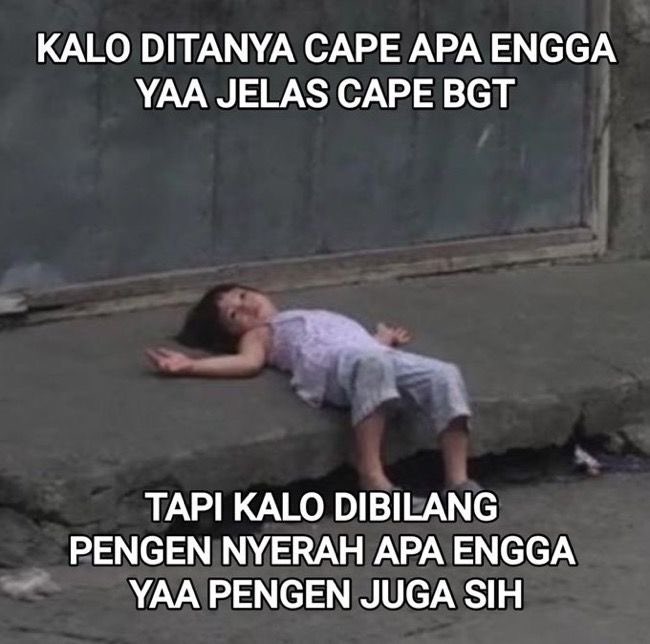 cleo tweet media