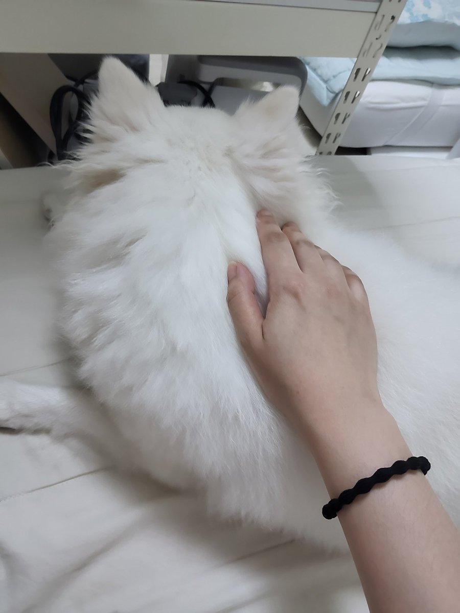 seen1520's tweet photo. 계속 누리는 중 https://t.co/qEzs63oBTh