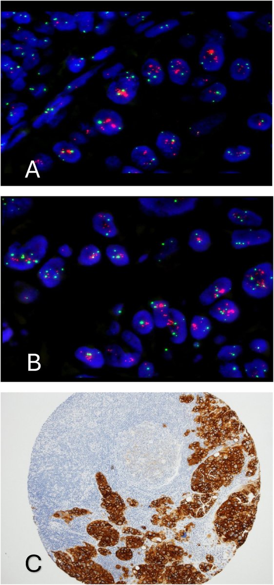 Human Pathology tweet media