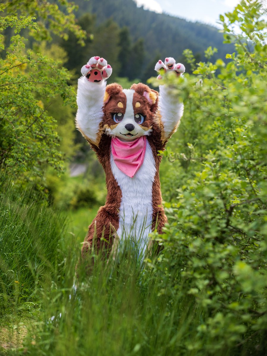 KindridFox's tweet photo. Guess which one is me!! :3 https://t.co/nzTf7Sjstt