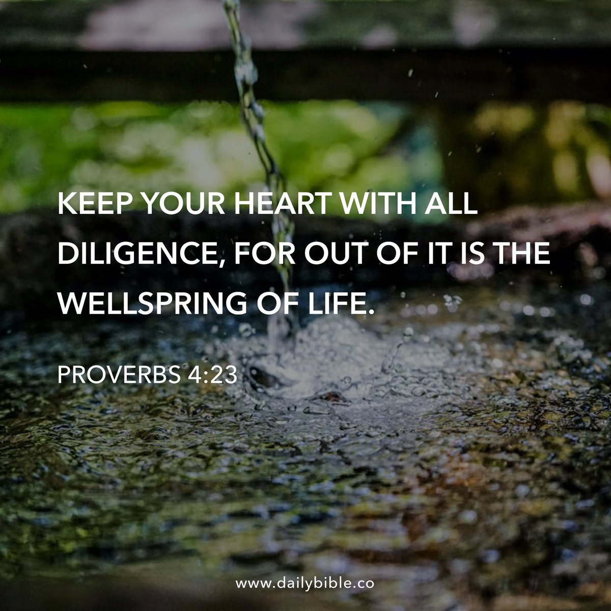 AliBradleyTV's tweet photo. #DailyVerse https://t.co/hC7Bgf3gd9