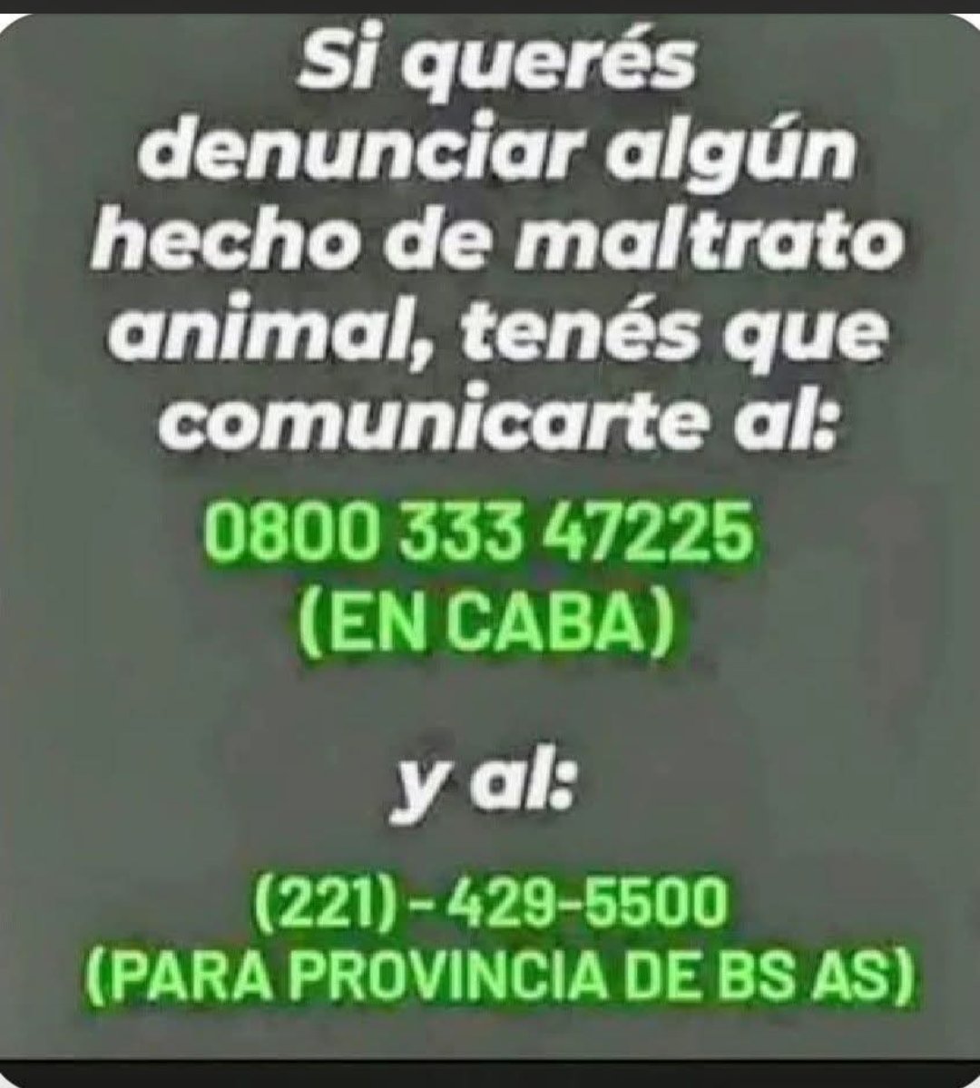 betnuevamente's tweet photo. https://t.co/UVAQYmgG4i