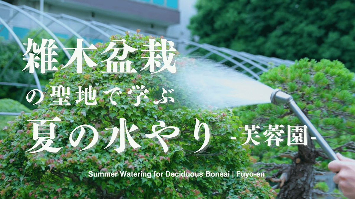 Yuhi610's tweet photo. https://t.co/F539zQ54Dp https://t.co/j1TMp3auZq