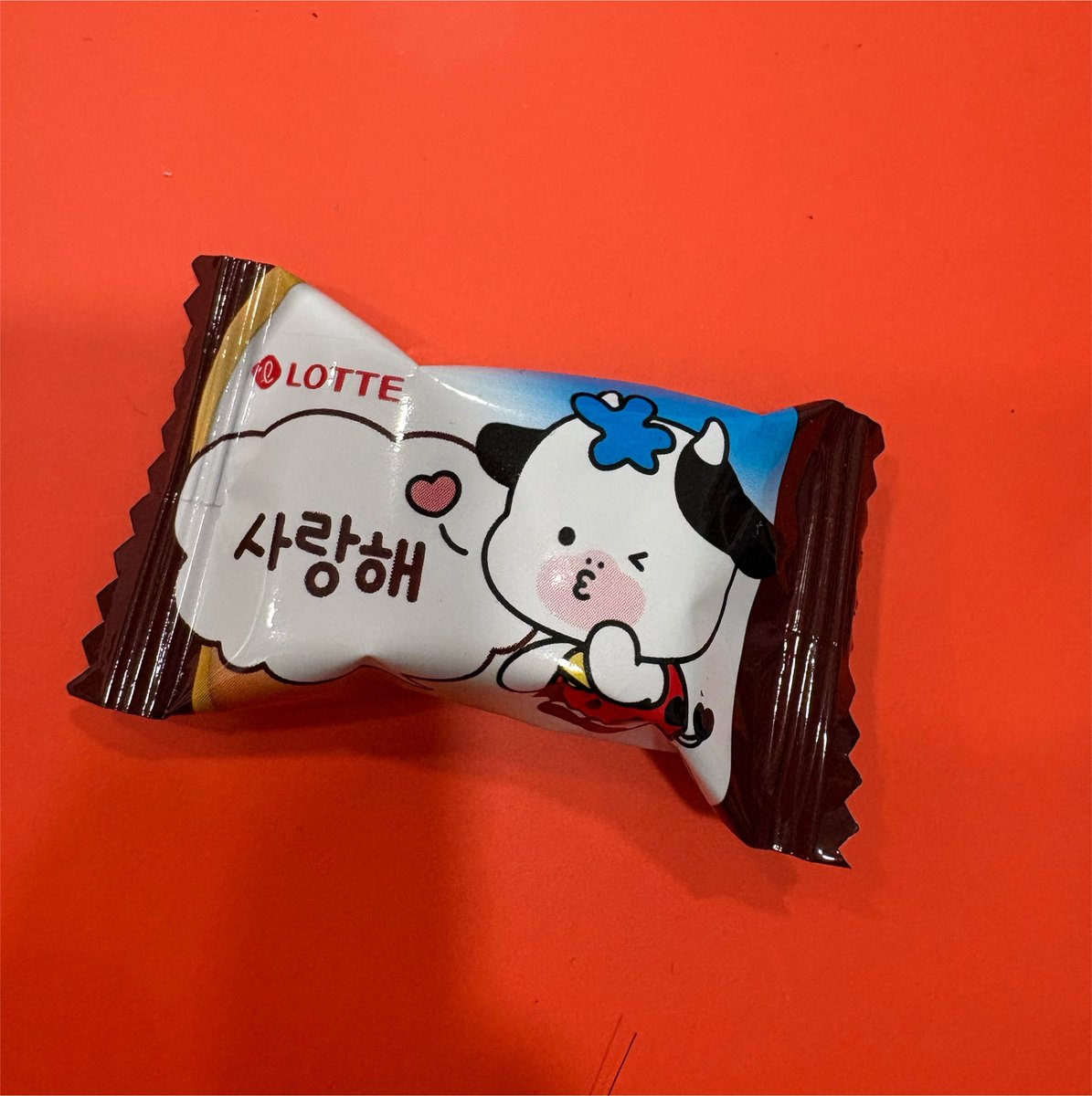 dotori_z's tweet photo. 이런 거 찍으면 뭐 해 보낼 짝이 없는데 https://t.co/vjPRKkMkeX