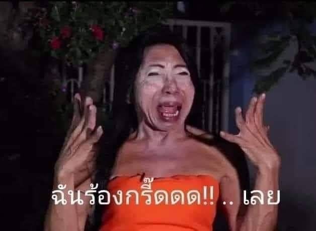 kaekissed's tweet photo. เราจะมีเฟ่วันเกิดเหล่าฉีในไทยจริงๆแล้วใช่มั๊ยยยยยย https://t.co/ic6gDHaNEL