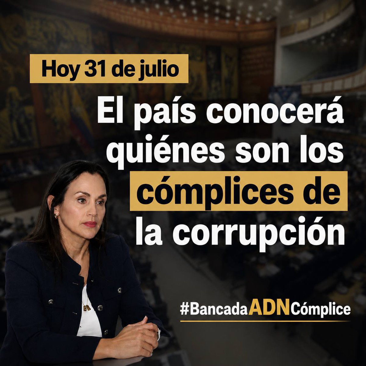MashiRafael's tweet photo. #BancadaADNCómplice https://t.co/CjToiDCqWH