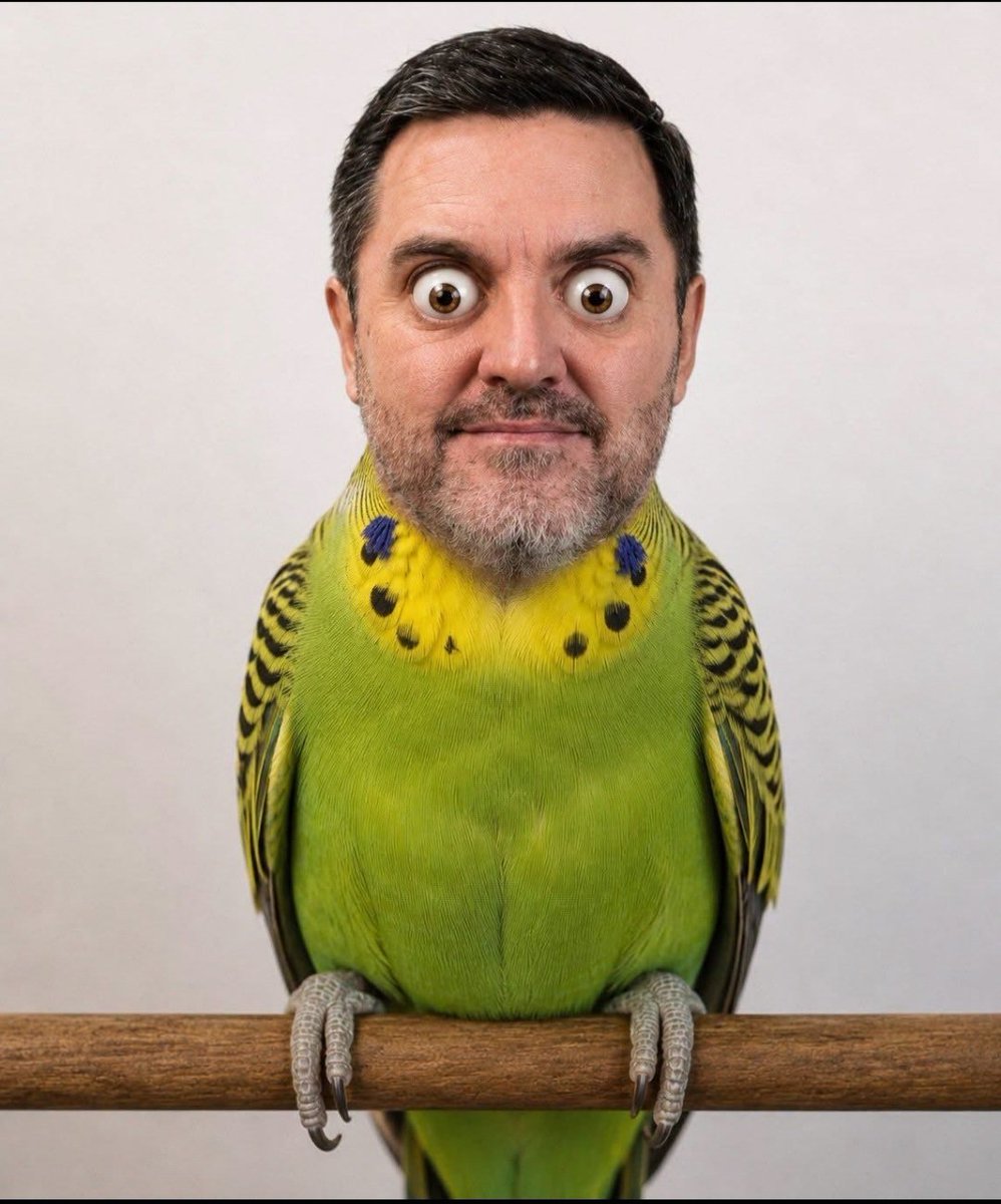 krono_tool's tweet photo. @azucenau @FDoringCasar @arturoavila_mx Jajaja quién verga toma en serio a #FePericoDroguin https://t.co/M5GXsdONQq