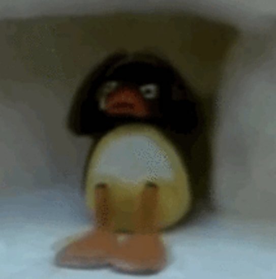 LinYouOWO's tweet photo. 我他妈的要被吓死了 我以为是拳交呢她妈的x怎么有第一人称生小孩的视频啊,吓死我了靠 https://t.co/ar3ozL353b