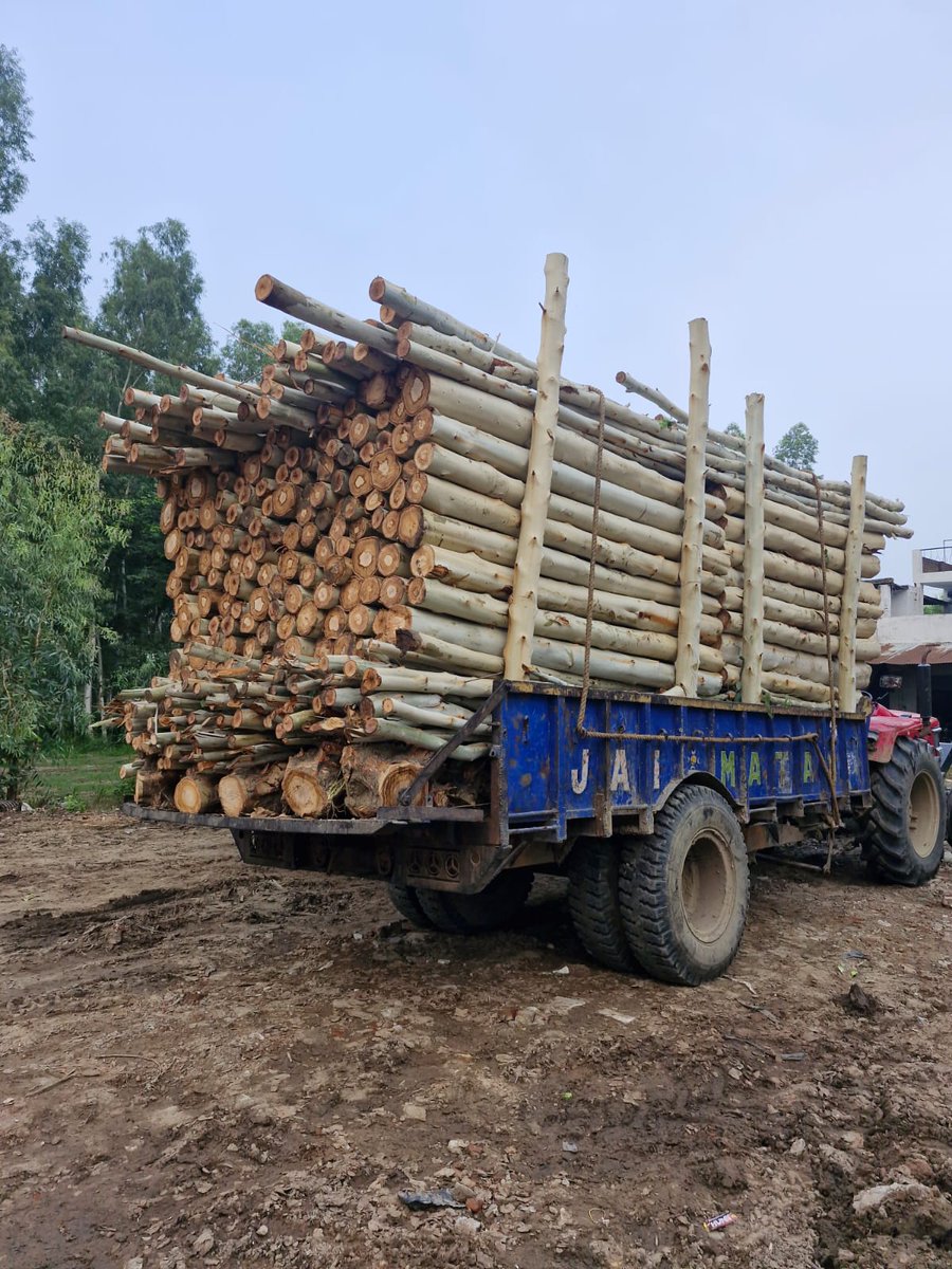 federationfippi's tweet photo. FIPPI delegates visited Hoshiarpur, Punjab, witnessing large-scale QPM adoption boosting livelihoods &amp; raw material supply.
To prevent mismatches, industries must be license-free. FIPPI advocates for a Dedicated Agroforestry-Based Wood Industry Promotion Policy.
#Agroforestry https://t.co/OD9o2vPFjz