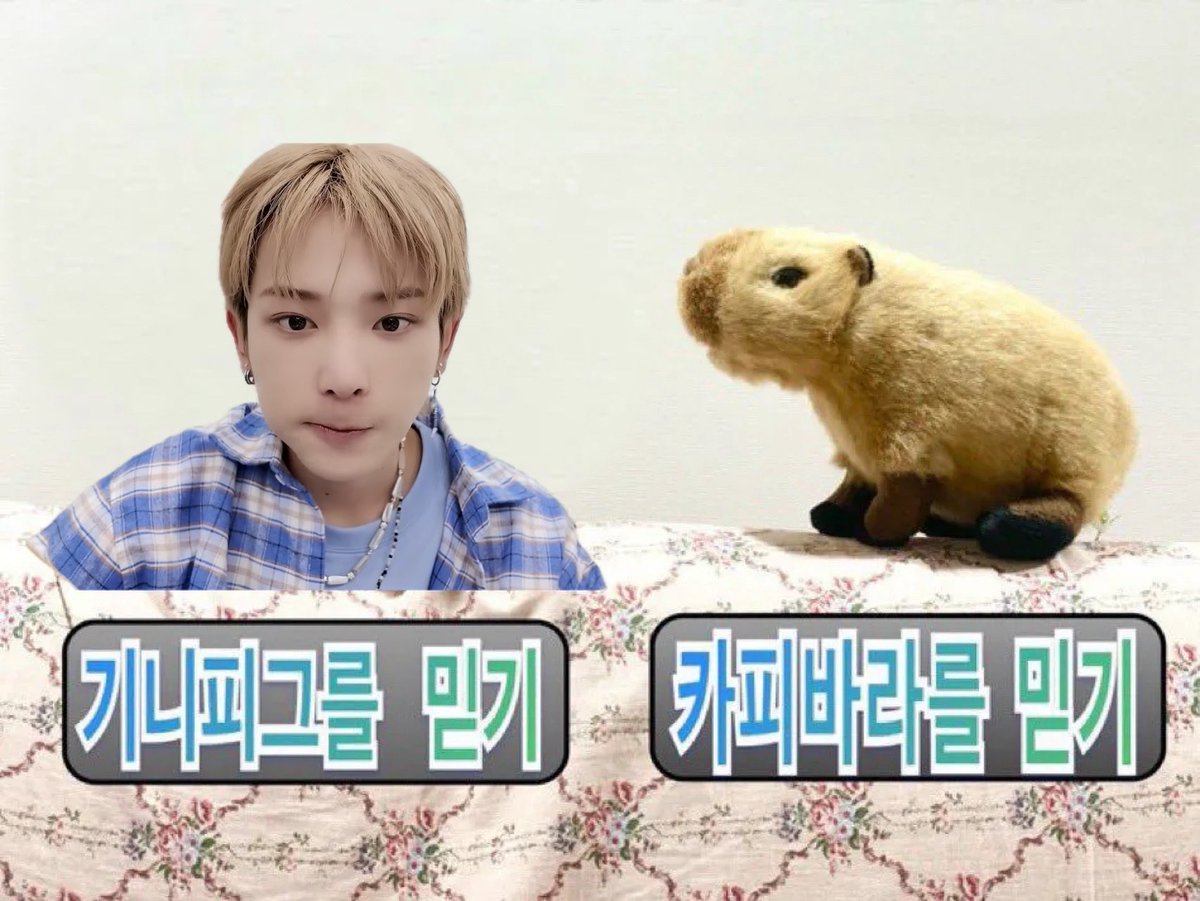lkajuu0's tweet photo. #르네트친소
루르르입니다💕❤️
같이 앤얘하실분 ~~ 🫪🫪 https://t.co/ImwD8YnuuR