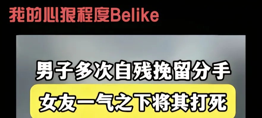 cmdz520's tweet photo. 我的各种程度Belike https://t.co/8ANo5Xy1Xt