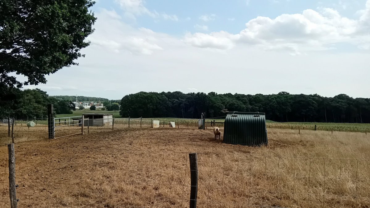 GysemansGoedele's tweet photo. #vrtweer @BuienradarBE #Schaffen 14.25 uur https://t.co/wgmtyXmAp1
