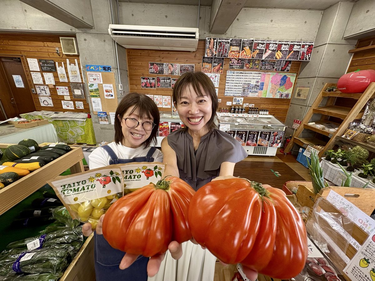 shiozawamikako's tweet photo. 美味しいトマトが勢ぞろい
標高の高い明野町で
自社農場で栽培された🍅

中玉トマト、トマるんるん
あかころん、ブレニー
オレンジ千果、ルガンティーノ

トマトを愛する福田律子さんと
お話出来て
もっともっとトマトが食べたくなりました

#うるさごぜん
#あけの農さん物直売所 https://t.co/OYa5iVsGKo