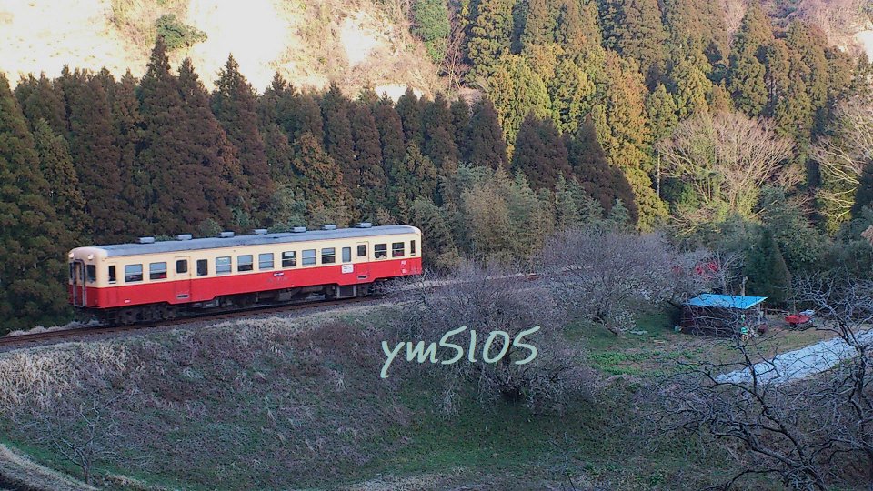 ym5105's tweet photo. @PomPomJoki_2020 京急線のアイデンティティを頑なに守ることが風景にも溶け込み沿線ブランドの価値にも繋がりますね。
特にローカル線では都会風のメカメカしいステンレス車体は味気ないので、こうした昭和の趣のあるカラーは残して欲しいものです。 https://t.co/DvbV2EY0mM