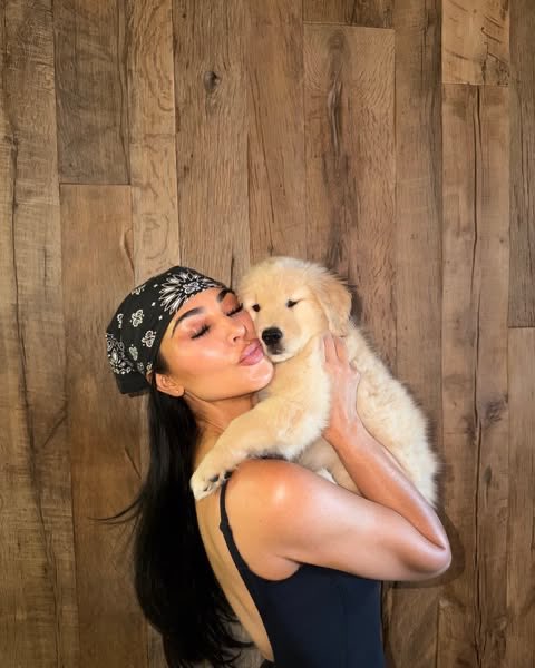 LH44NEWS's tweet photo. Nosso pai de pet favorito! 🥹❤️

Lewis Hamilton tem uma nova cachorrinha, uma golden retriever, chamada Halo.

Em uma publicação nas redes sociais, o canil responsável escreveu:

“Estamos animados para levar a Srta. Halo para Los Angeles, para o piloto da Ferrari na Fórmula 1, Lewis Hamilton!”

Além disso, Halo também apareceu em novas fotos publicada por Kim Kardashian, namorada do piloto, e de Kirstin McMillian, treinadora de Roscoe e Coco, que agora também treina a Halo.