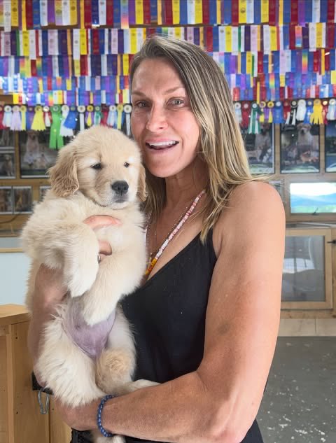 LH44NEWS's tweet photo. Nosso pai de pet favorito! 🥹❤️

Lewis Hamilton tem uma nova cachorrinha, uma golden retriever, chamada Halo.

Em uma publicação nas redes sociais, o canil responsável escreveu:

“Estamos animados para levar a Srta. Halo para Los Angeles, para o piloto da Ferrari na Fórmula 1, Lewis Hamilton!”

Além disso, Halo também apareceu em novas fotos publicada por Kim Kardashian, namorada do piloto, e de Kirstin McMillian, treinadora de Roscoe e Coco, que agora também treina a Halo.