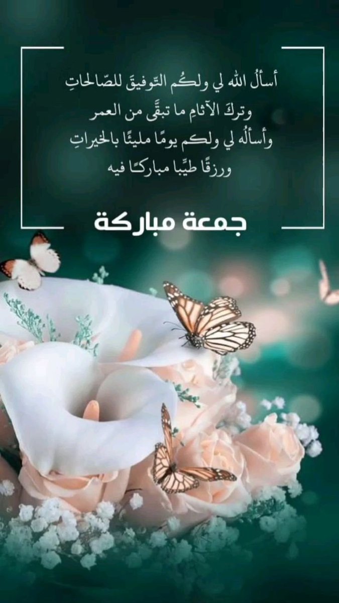 AlaaSlik's tweet photo. 💐🕊 https://t.co/3zXdjLG7GA