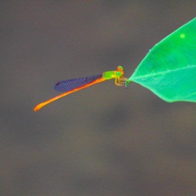 Rogerrogue1234's tweet photo. #NewProfilePic (新個人資料照片) https://t.co/wSXDGMhlbl