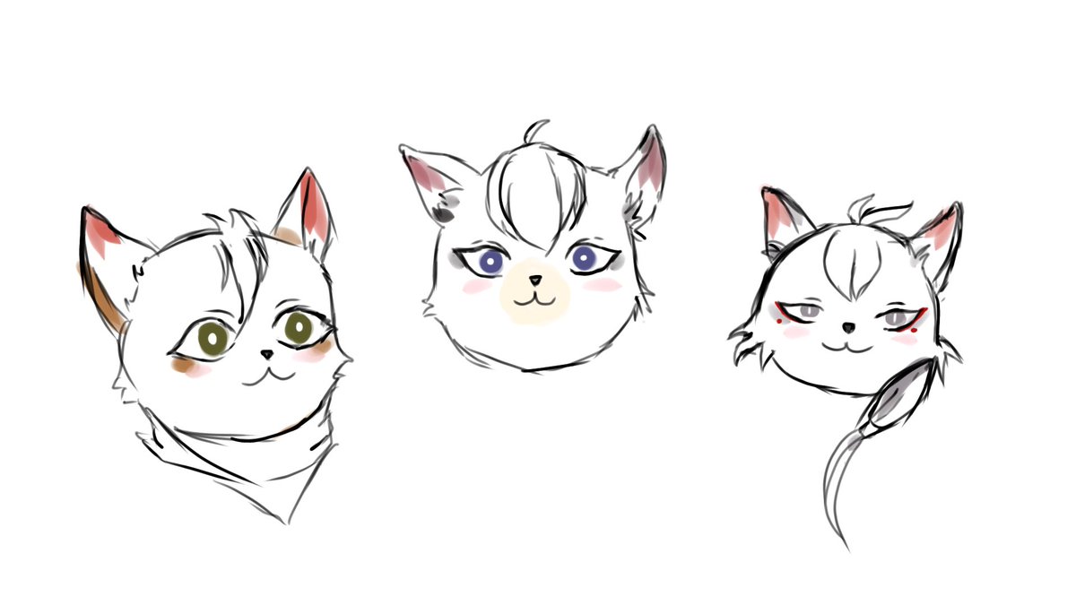 MTruemere's tweet photo. 3 meow :3 I want to have ones https://t.co/qhpY4CM76m