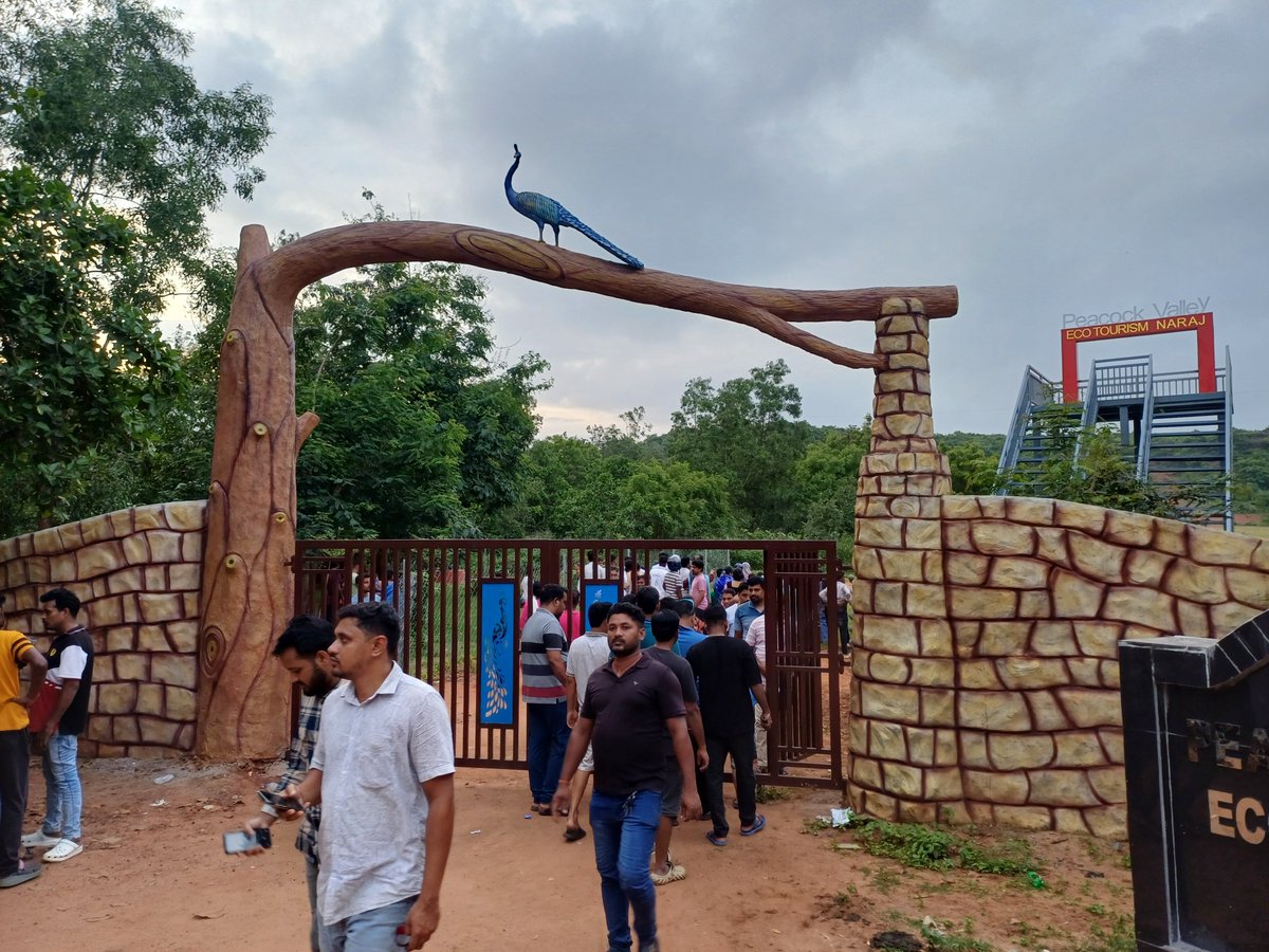 SambitRout18's tweet photo. This is a small nature camp.
The valley has been developed and upgraded.
Compared to earlier, many more people now visit this place to see peacocks.
The main attraction is its newly built selfie point. 🦚
#NatureCamp #Odisha
@manas_muduli @KatakaDM https://t.co/SvZyXgwg9b