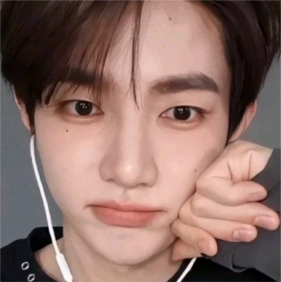 zzhangnok's tweet photo. 하오롱바오🥟🥢 https://t.co/OBSL98sGhv