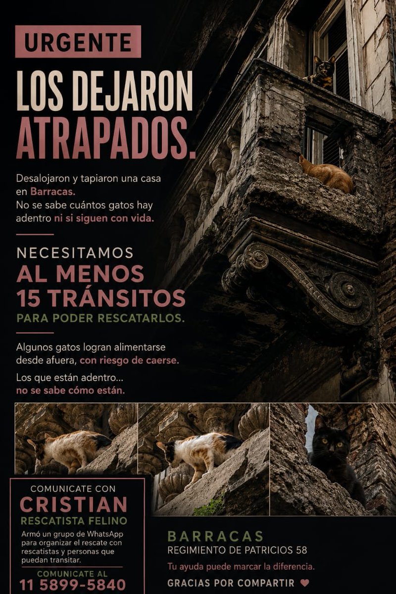 patripeyrou's tweet photo. Rt
Ayuda urgente https://t.co/Wwszrz2p0X
